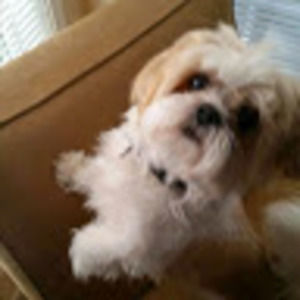 Meet your Posher, Marissa